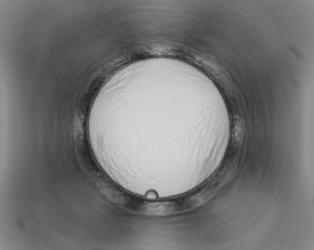 X0000113020461200909241638