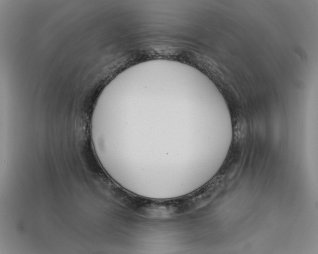 X0000113020464200909241638