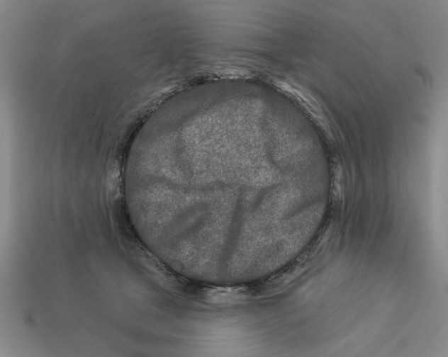 X0000113020465200909241638