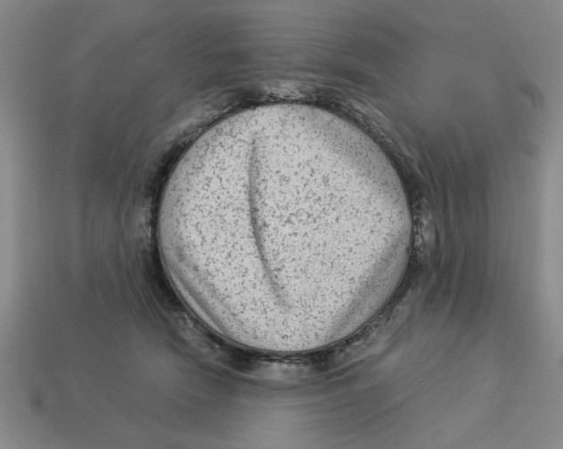 X0000113020466200909241638