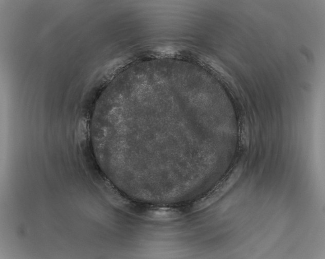 X0000113020467200909241638