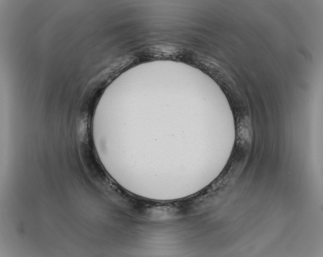 X0000113020468200909241639