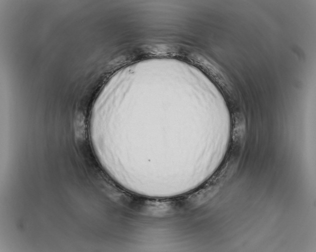 X0000113020469200909241639