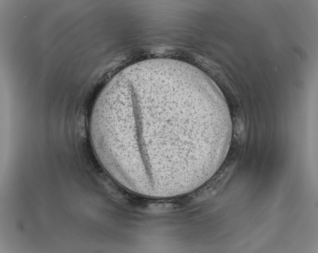 X0000113020470200909241639