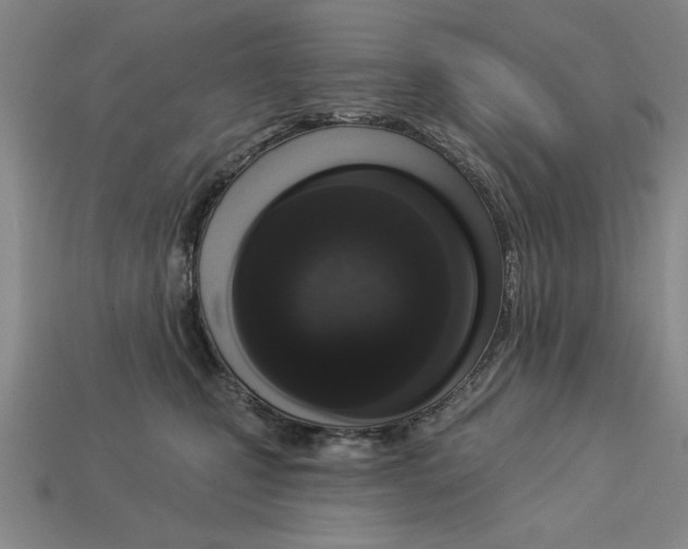 X0000113020471200909241639