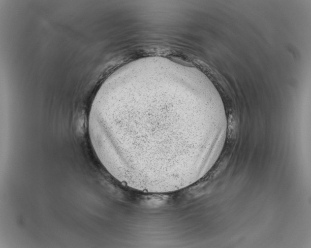 X0000113020474200909241639