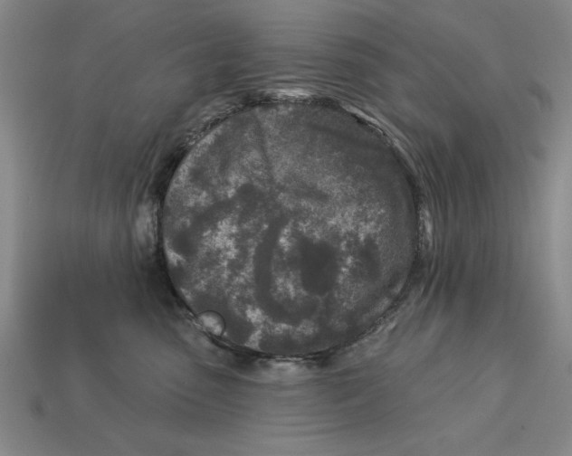 X0000113020475200909241639