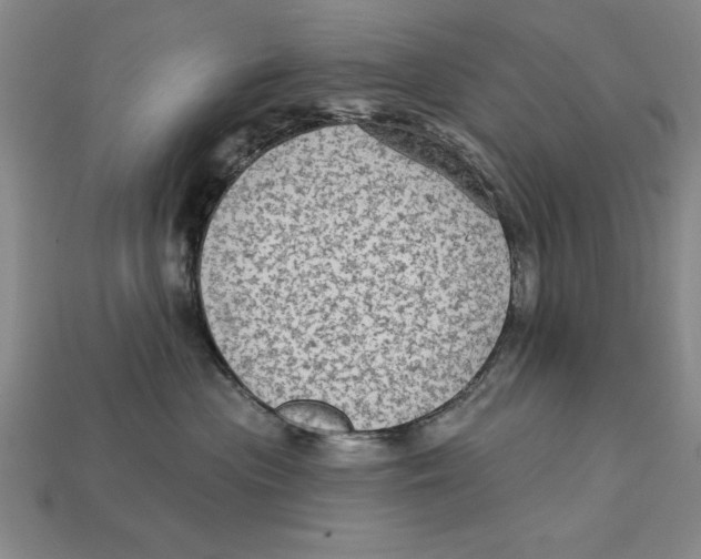 X0000113020477200909241639