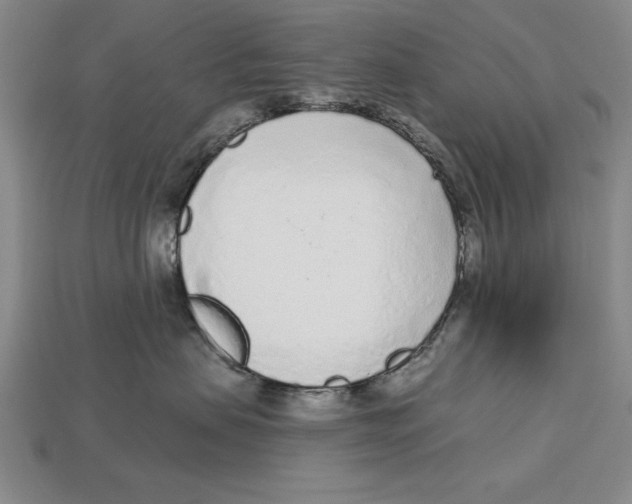 X0000113020479200909241639