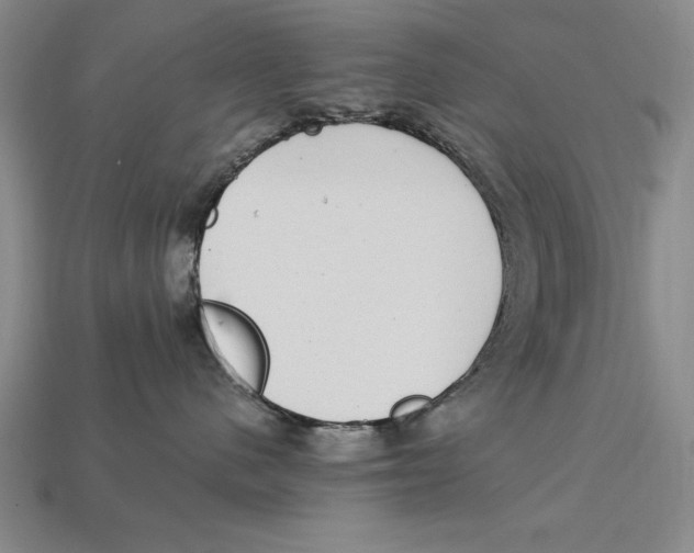 X0000113020480200909241639