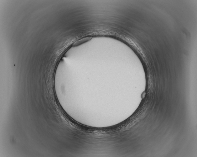 X0000113020481200909241638