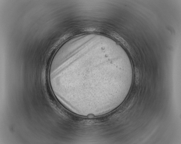 X0000113020482200909241638