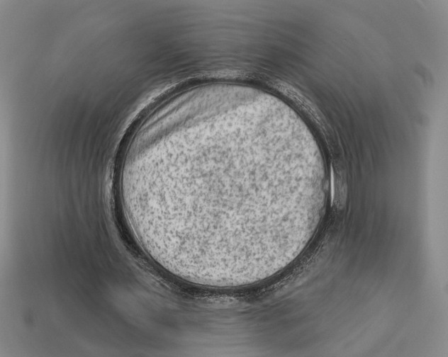 X0000113020483200909241638