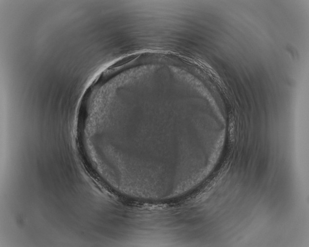 X0000113020484200909241638