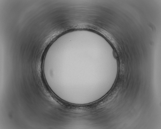 X0000113020485200909241638