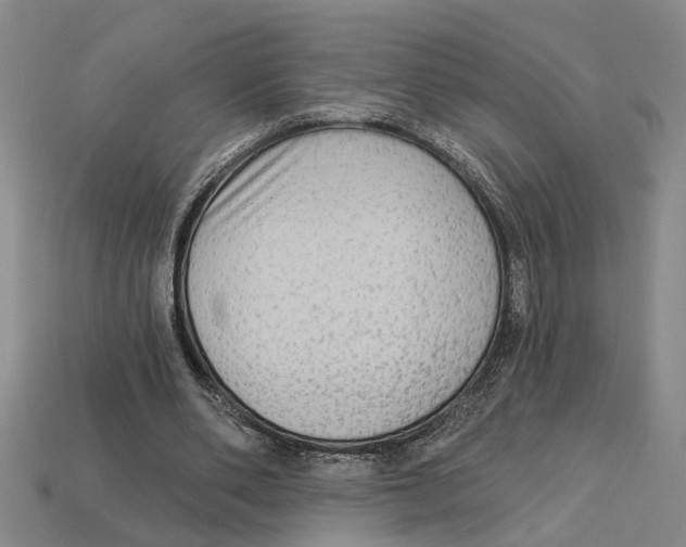 X0000113020486200909241638