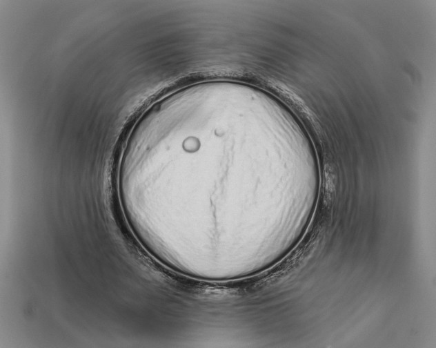 X0000113020487200909241638