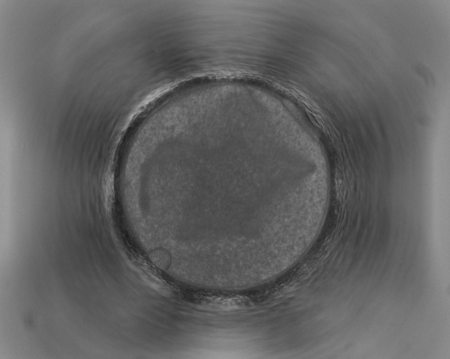 X0000113020488200909241638