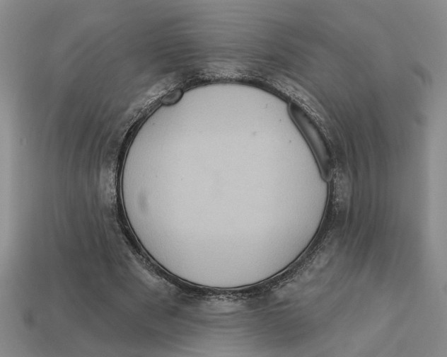 X0000113020489200909241638