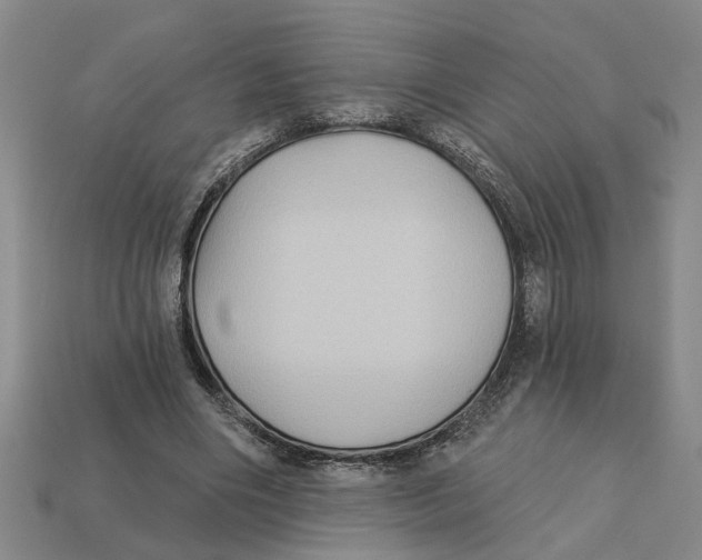 X0000113020490200909241638