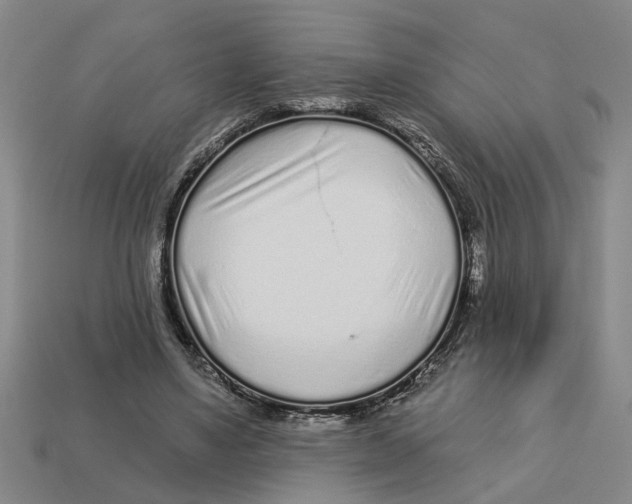 X0000113020491200909241638