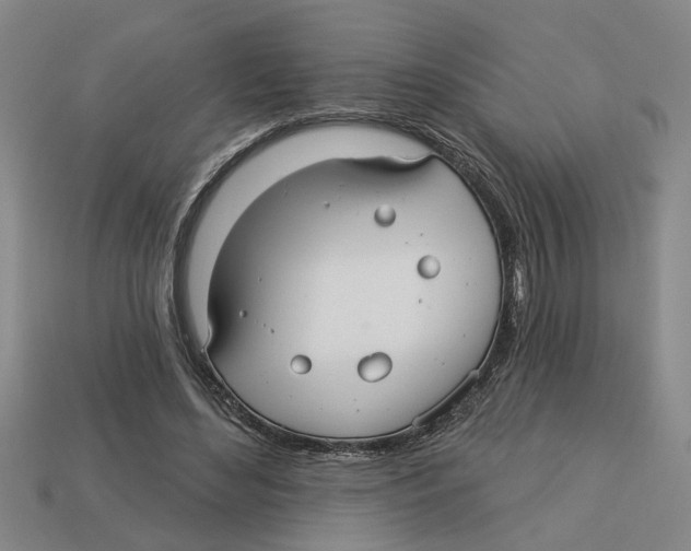 X0000113020492200909241638