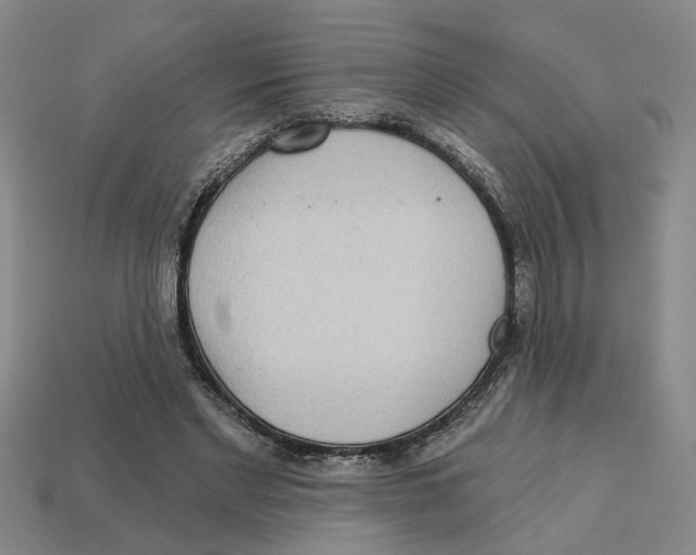 X0000113020493200909241638