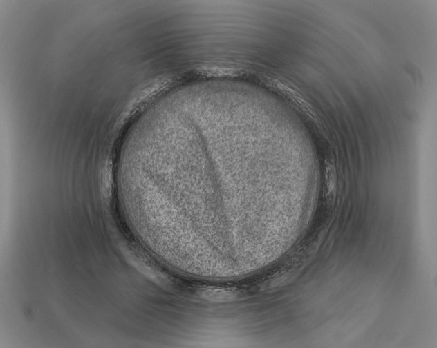 X0000113020494200909241638