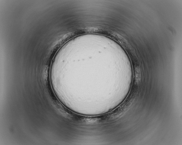 X0000113020495200909241638