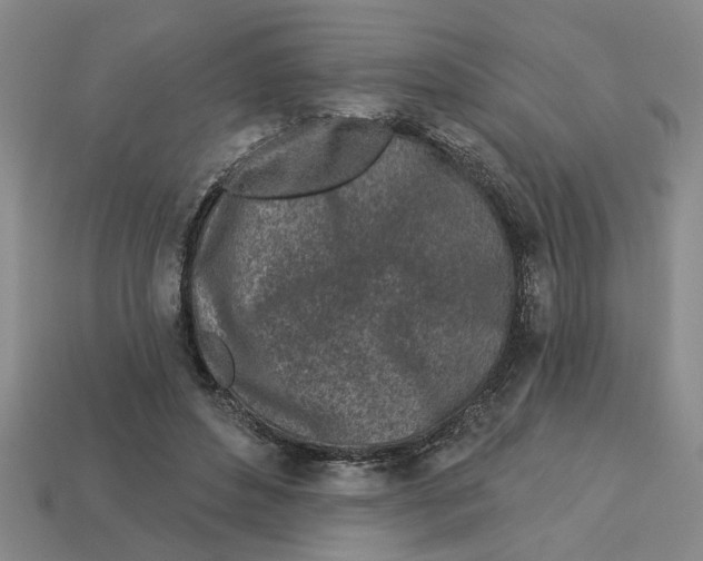 X0000113020496200909241638