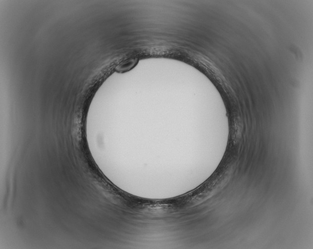 X0000113020497200909241638