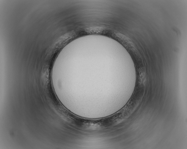 X0000113020498200909241638