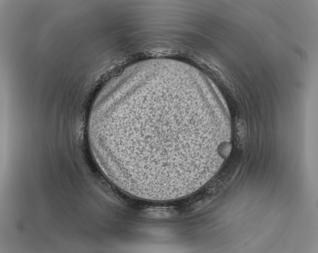 X0000113020499200909241638