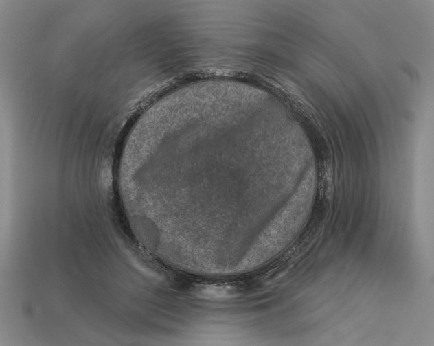 X0000113020500200909241638