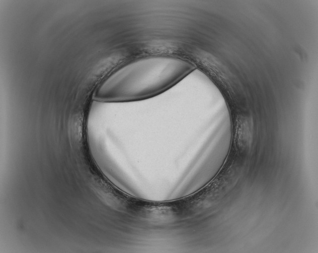 X0000113020501200909241638