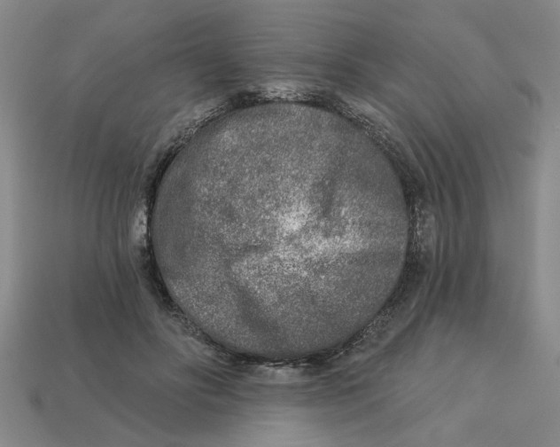 X0000113020502200909241638