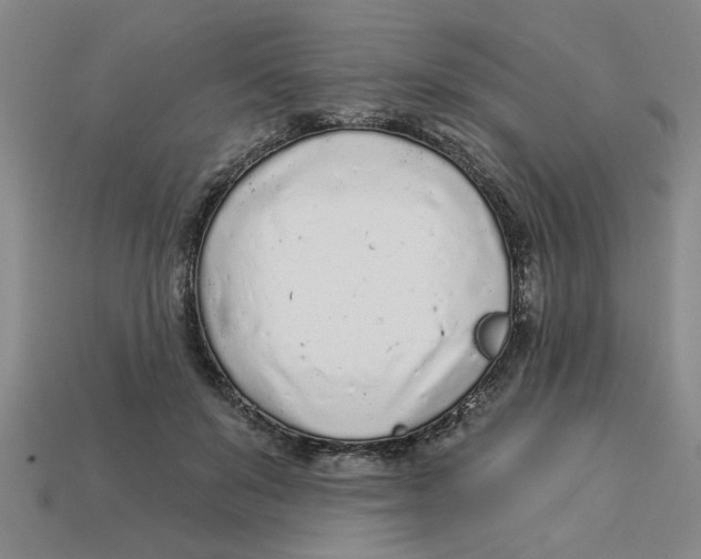 X0000113020503200909241638