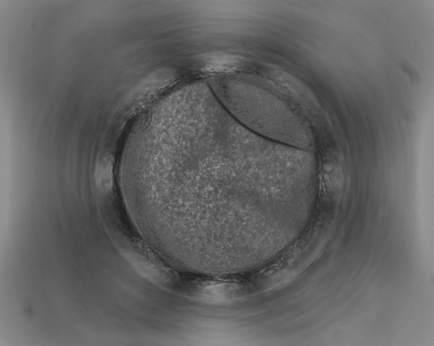 X0000113020504200909241638