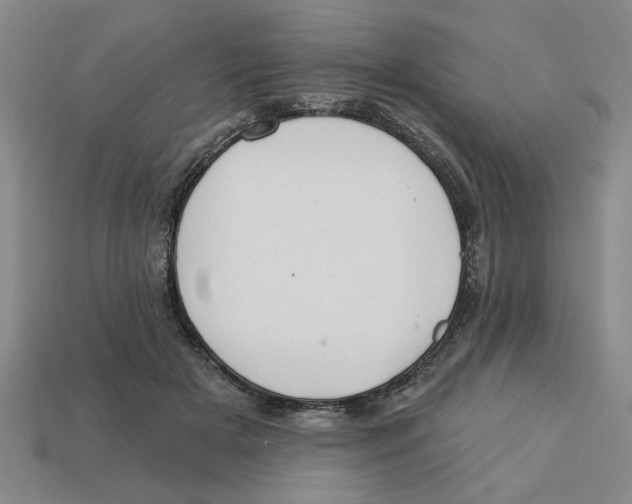 X0000113020505200909241638