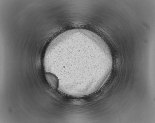 X0000113020508200909241638