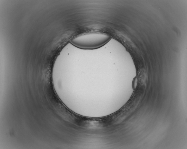 X0000113020509200909241638