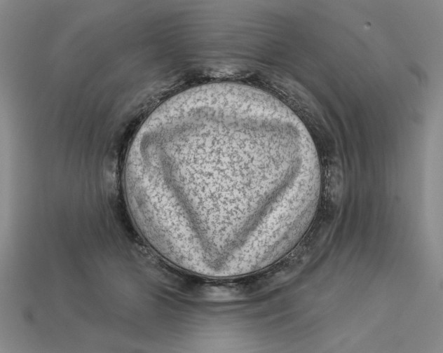 X0000113020510200909241638