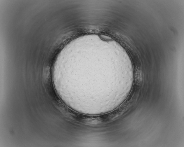 X0000113020511200909241638