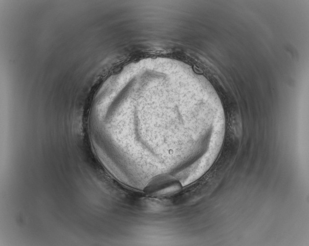 X0000113020512200909241638