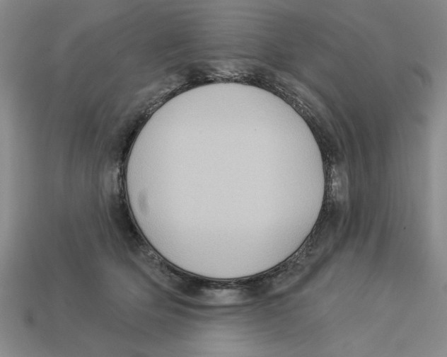 X0000113020514200909241638