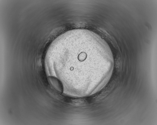 X0000113020516200909241638