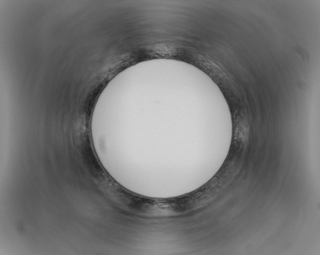 X0000113020518200909241638