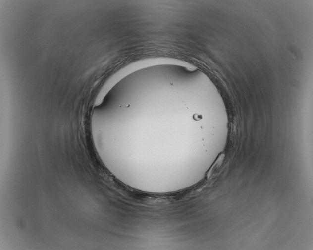 X0000113020520200909241638