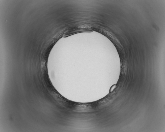 X0000113020521200909241638