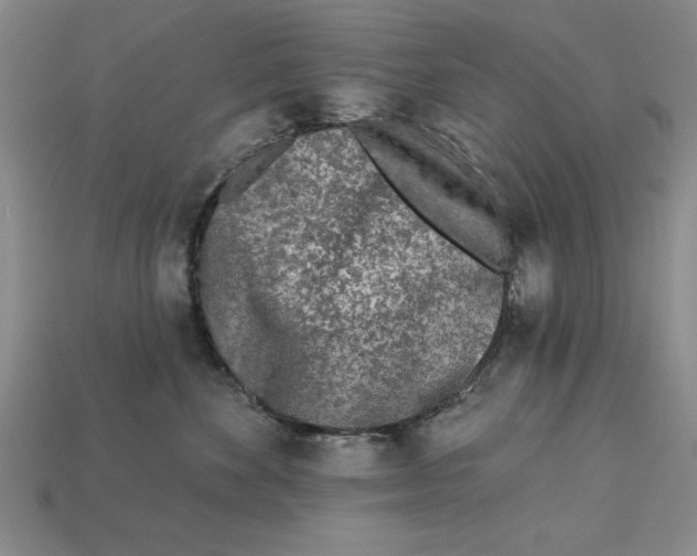 X0000113020524200909241638